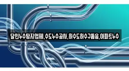 달인누수탐지업체,수도누수공사,하수도하수구뚫음,아파트누수