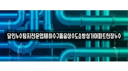 달인누수탐지전문업체하수구뚫음상수도소방상가아파트천장누수