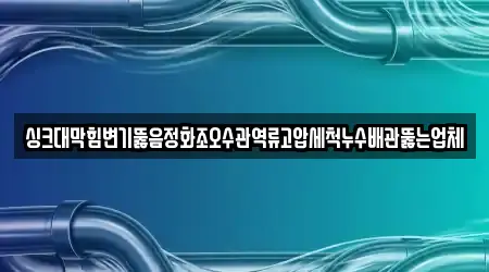 싱크대막힘변기뚫음정화조오수관역류고압세척누수배관뚫는업체