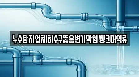누수탐지업체하수구뚫음변기막힘씽크대역류
