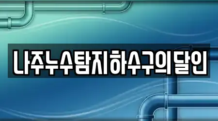 나주누수탐지하수구의달인