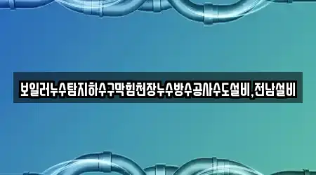 보일러누수탐지하수구막힘천장누수방수공사수도설비,전남설비
