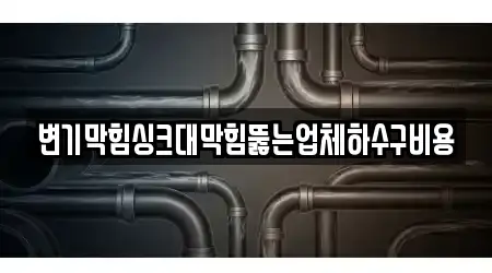 변기막힘싱크대막힘뚫는업체하수구비용
