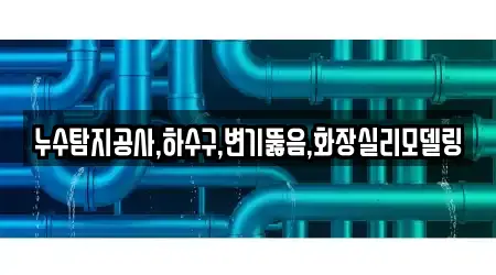 누수탐지공사,하수구,변기뚫음,화장실리모델링