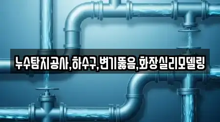 누수탐지공사,하수구,변기뚫음,화장실리모델링