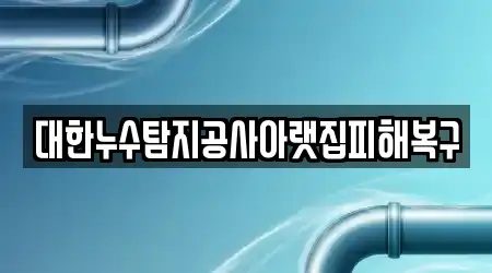 대한누수탐지공사아랫집피해복구
