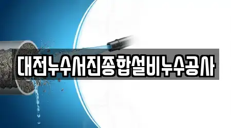 대전누수서진종합설비누수공사