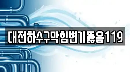 대전하수구막힘변기뚫음119