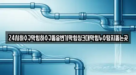 24시하수구막힘하수구뚫음변기막힘싱크대막힘누수탐지뚫는곳