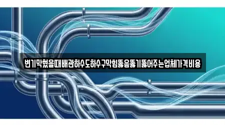 변기막혔을때배관하수도하수구막힘뚫음뚫기뚫어주는업체가격비용