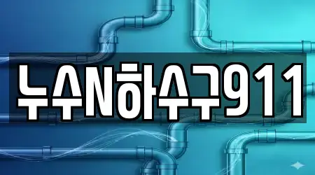 누수N하수구911