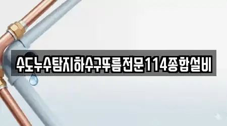수도누수탐지하수구뚜름전문114종합설비
