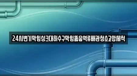 24시변기막힘싱크대하수구막힘뚫음역류배관청소고압세척