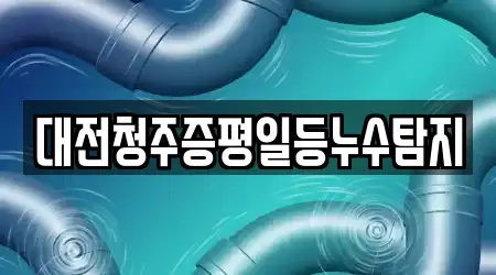 대전청주증평일등누수탐지