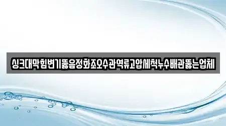 싱크대막힘변기뚫음정화조오수관역류고압세척누수배관뚫는업체