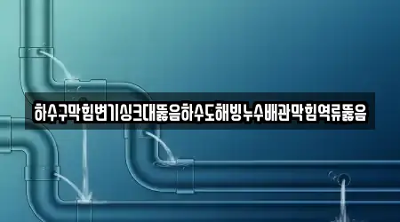 하수구막힘변기싱크대뚫음하수도해빙누수배관막힘역류뚫음