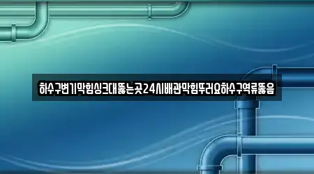 하수구변기막힘싱크대뚫는곳24시배관막힘뚜러요하수구역류뚫음