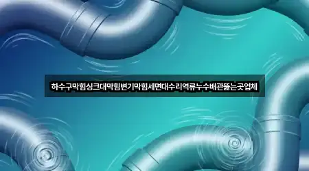 하수구막힘싱크대막힘변기막힘세면대수리역류누수배관뚫는곳업체