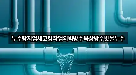 누수탐지업체코킹작업외벽방수옥상방수빗물누수