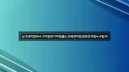 싱크대막힘하수구막힘변기막힘뚫는곳배관막힘정화조막힘누수탐지