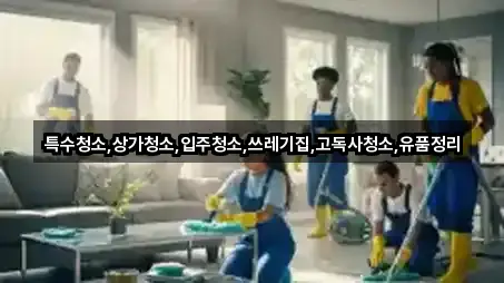 중앙동2가 입주청소 바로 보기 5곳