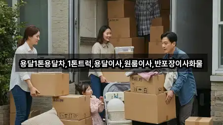 즉시 지도: 중노송동 용달이사 5곳