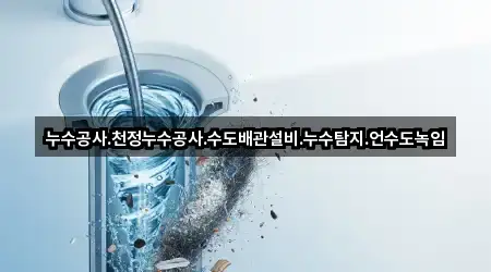 누수공사.천정누수공사.수도배관설비.누수탐지.언수도녹임