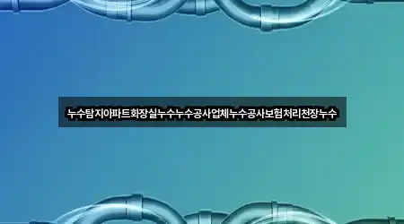 누수탐지아파트화장실누수누수공사업체누수공사보험처리천장누수