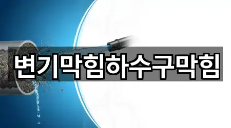변기막힘하수구막힘
