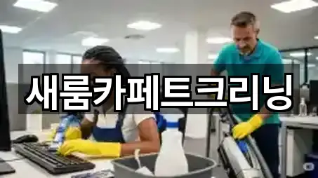 새룸카페트크리닝