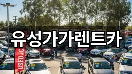 유성가가렌트카