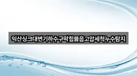 익산싱크대변기하수구막힘뚫음고압세척누수탐지