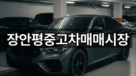 장안평중고차매매시장