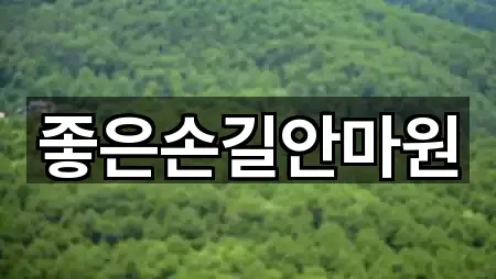 좋은손길안마원