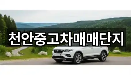 천안중고차매매단지