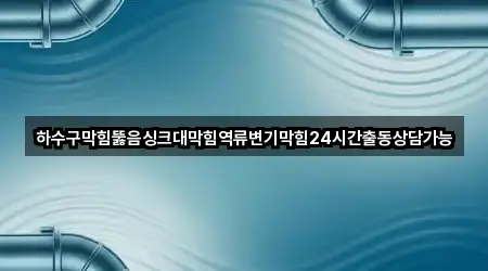 하수구막힘뚫음싱크대막힘역류변기막힘24시간출동상담가능