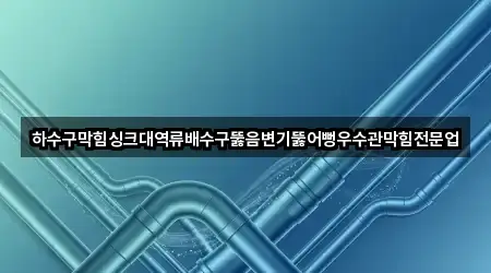 하수구막힘싱크대역류배수구뚫음변기뚫어뻥우수관막힘전문업