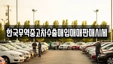 강원 동해시 용정동 중고차매입 전문 한국무역중고차수출매입매매판매시세