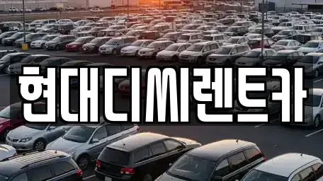 강원 철원군 철원읍 렌트카 전문 현대디씨렌트카