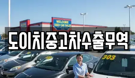 강원특별자치도 동해시 용정동 중고차 전문 도이치중고차수출무역