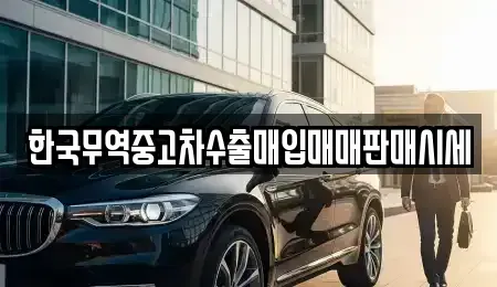 강원특별자치도 동해시 용정동 중고차매입 전문 한국무역중고차수출매입매매판매시세