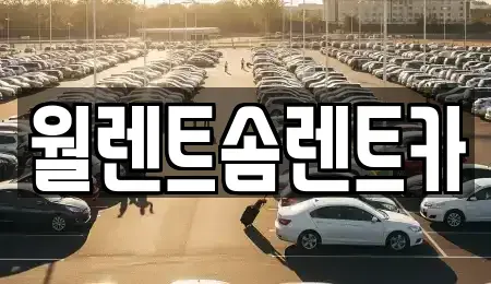 강원특별자치도 원주시 가현동 렌트카 전문 월렌트솜렌트카