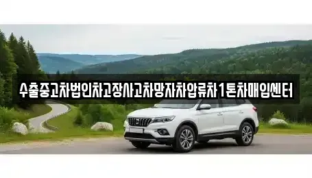 강원특별자치도 원주시 가현동 중고차 전문 수출중고차법인차고장사고차망자차압류차1톤차매입센터