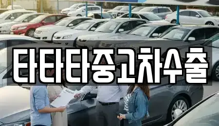 강원특별자치도 원주시 가현동 중고차 전문 타타타중고차수출