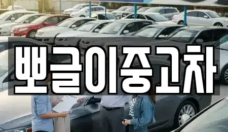 강원특별자치도 정선군 고한읍 중고차 전문 뽀글이중고차
