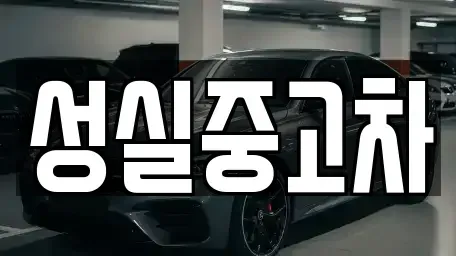 강원특별자치도 정선군 고한읍 중고차 전문 성실중고차