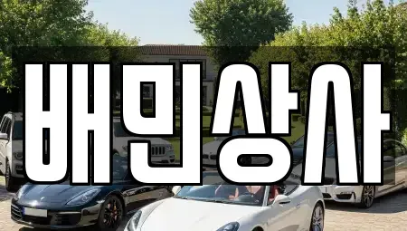 강원특별자치도 평창군 대화면 중고차 전문 배민상사