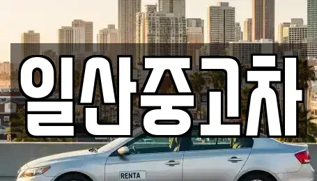 경기 고양시 덕양구 용두동 중고차매매 전문 일산중고차