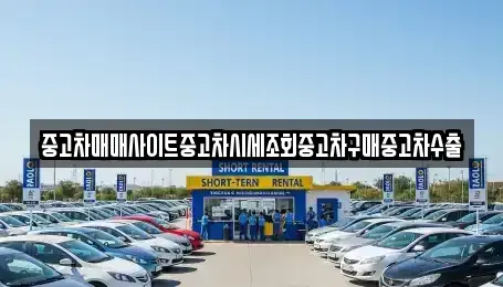 경기 남양주시 다산동 중고차매매 전문 중고차매매사이트중고차시세조회중고차구매중고차수출