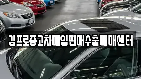 경기 남양주시 다산동 중고차매입 전문 김프로중고차매입판매수출매매센터